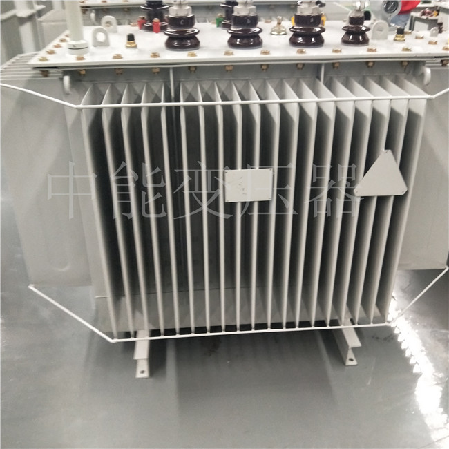 儋州S20-800KVA变压器