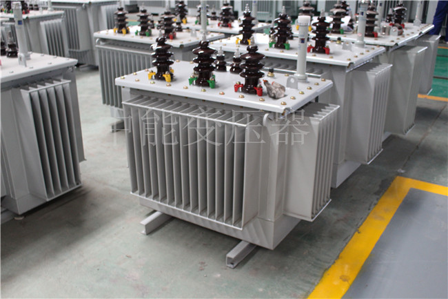 儋州S22-250KVA/10KV变压器